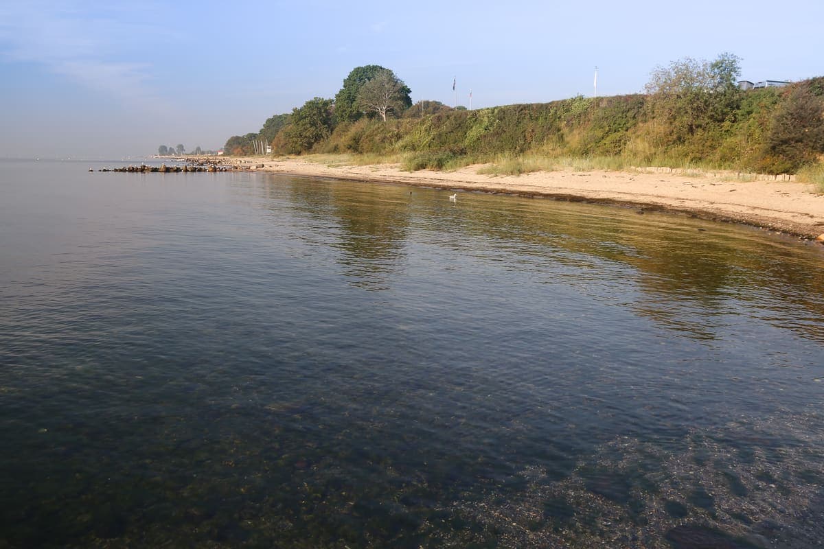 Strand 3