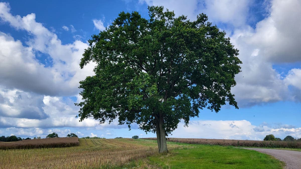 Umgebung 18