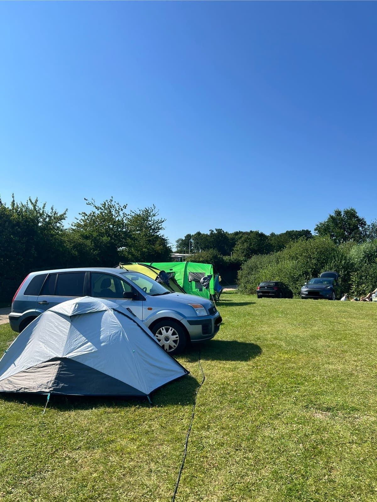 Wiesencamping 18